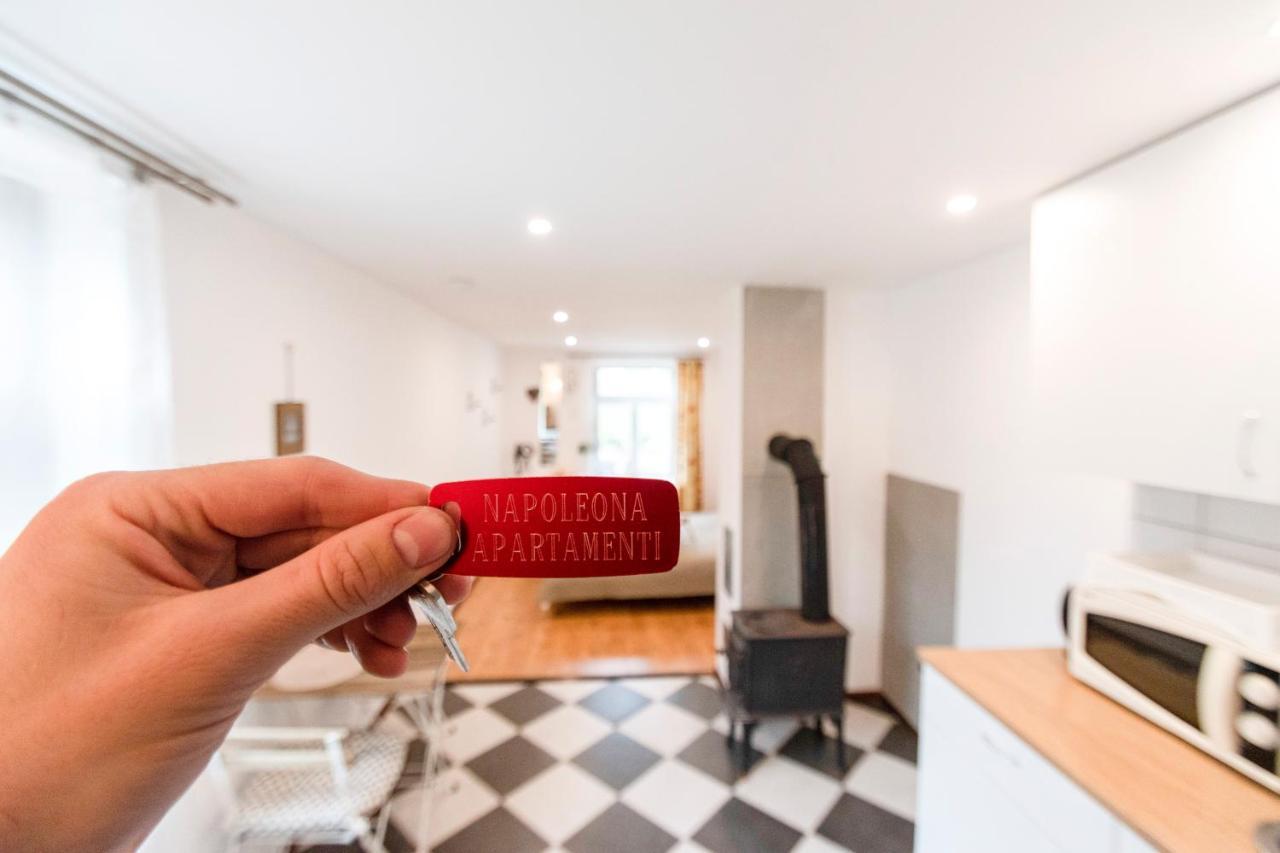 クルディーガNapoleona Apartamentiアパートメント エクステリア 写真